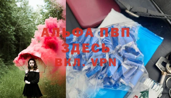 стафф Алзамай