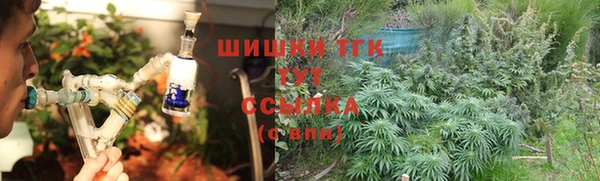 шишки Абинск