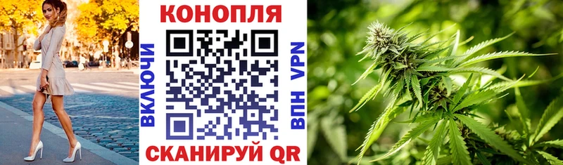 купить наркоту  ссылка на мегу ссылка  Каннабис Bruce Banner  Волгоград 